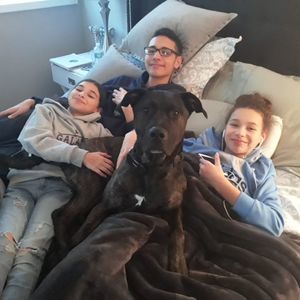 Meet your Posher, Noah